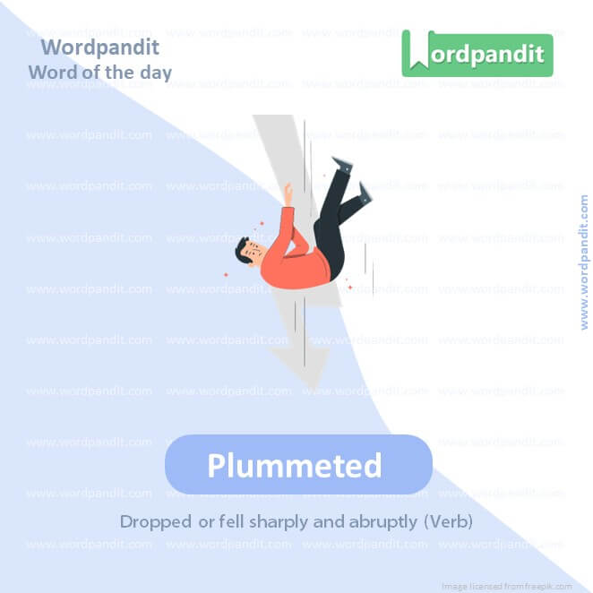 Plummeted Picture Vocabulary