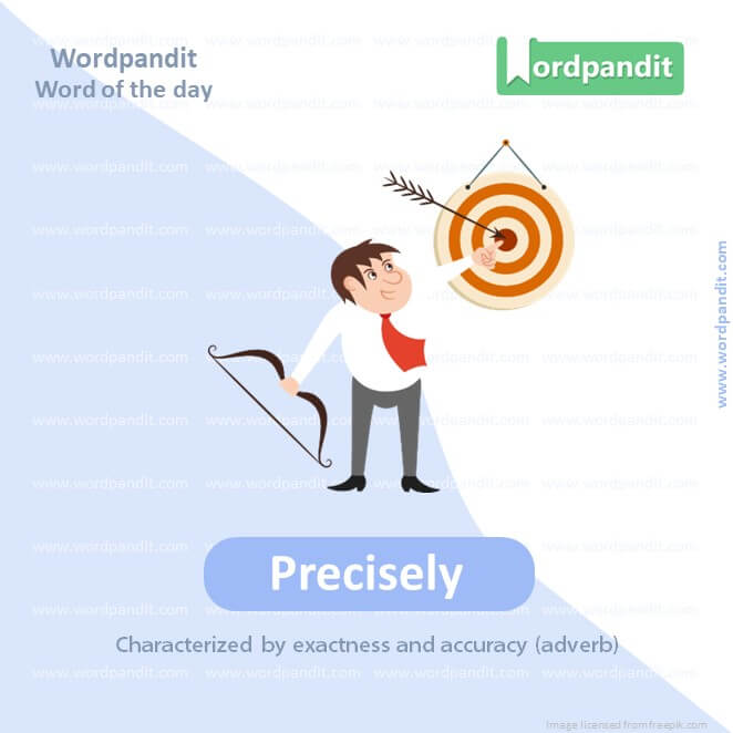 Precisely Picture Vocabulary