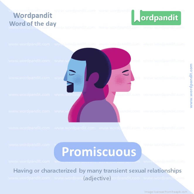 Promiscuous Picture Vocabulary