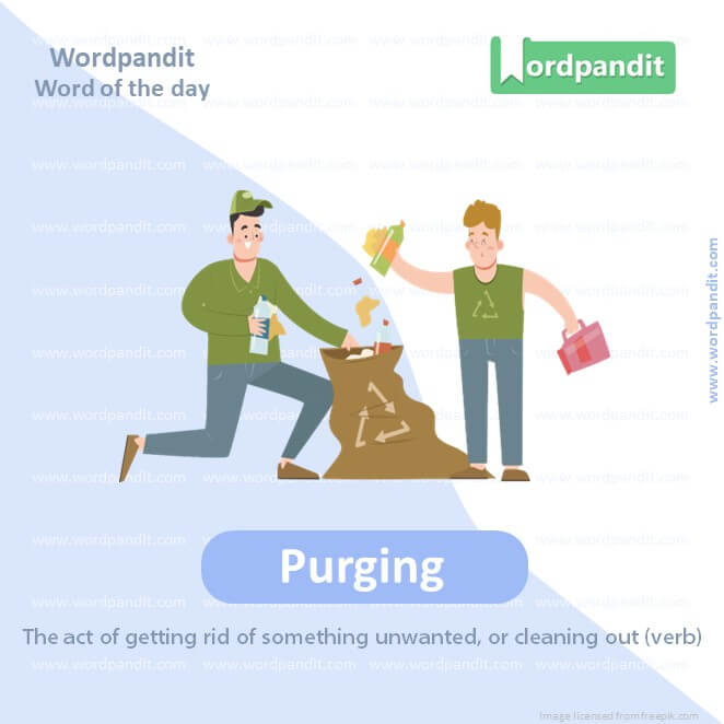 Purging Picture Vocabulary