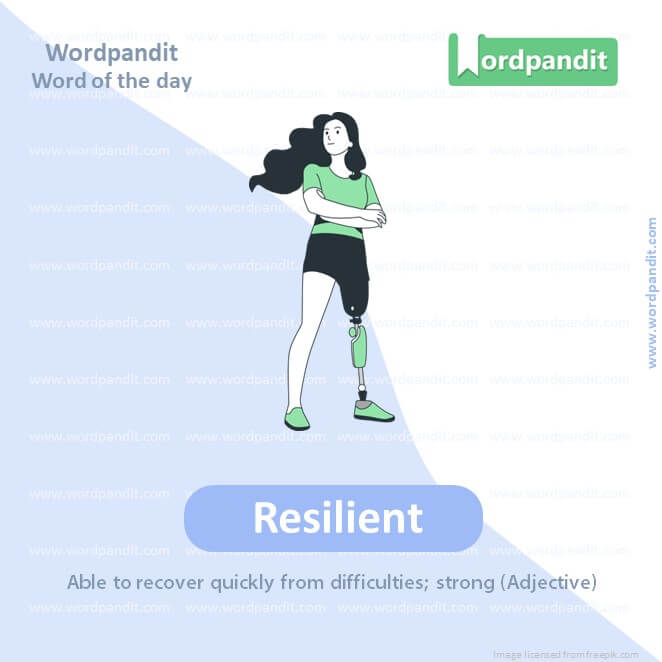 Resilient Picture Vocabulary
