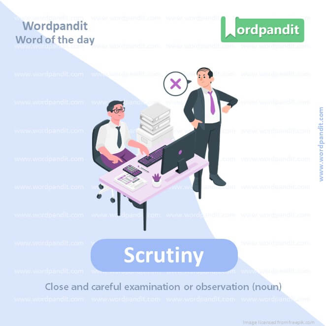Scrutiny Picture Vocabulary