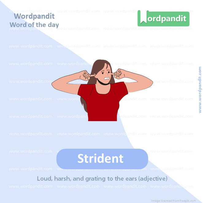 Strident Picture Vocabulary Copy
