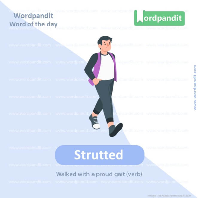 Strutted Picture Vocabulary