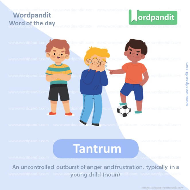 Tantrum Picture Vocabulary