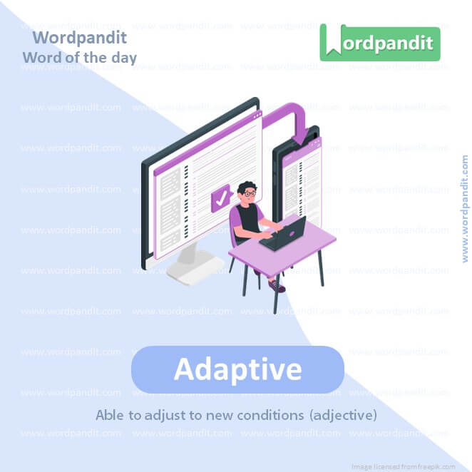 Adaptive Picture Vocabulary