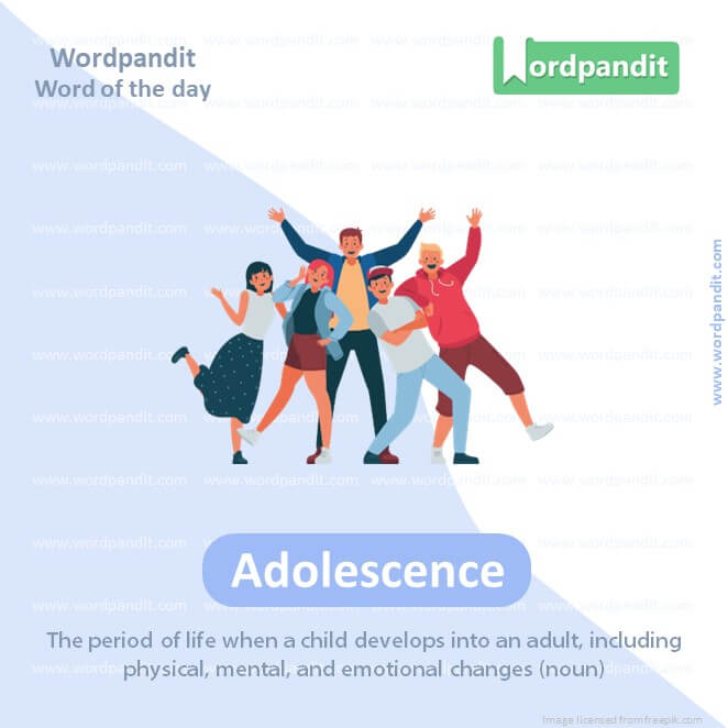 Adolescence Picture Vocabulary