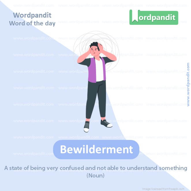 Bewilderment Picture Vocabulary