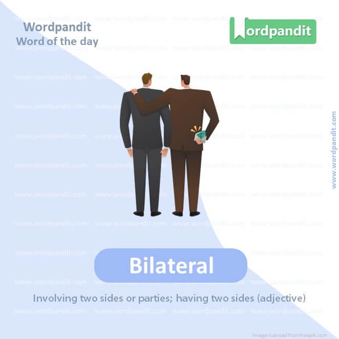 Bilateral Picture Vocabulary