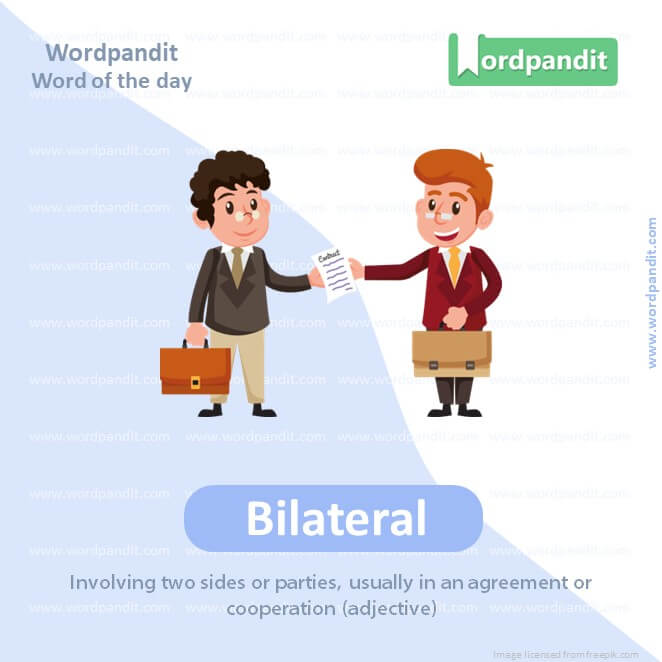 Bilateral Picture Vocabulary