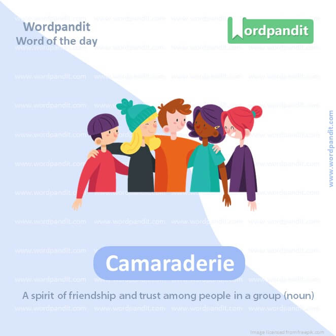 Camaraderie Picture Vocabulary