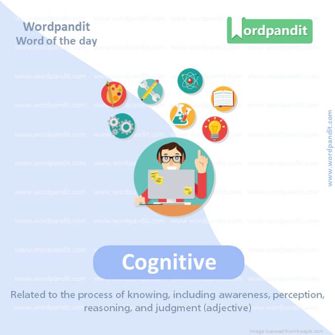 Cognitive Picture Vocabulary