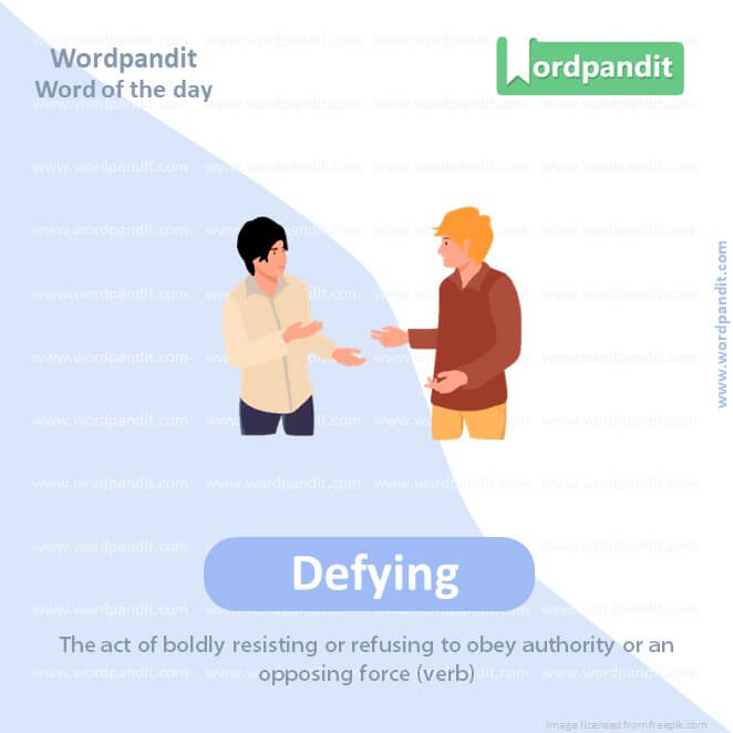 Defying Picture Vocabulary