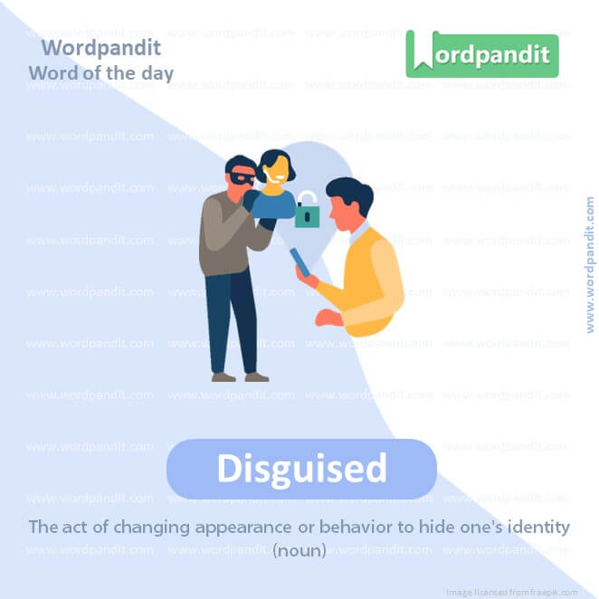 Disguised Picture Vocabulary