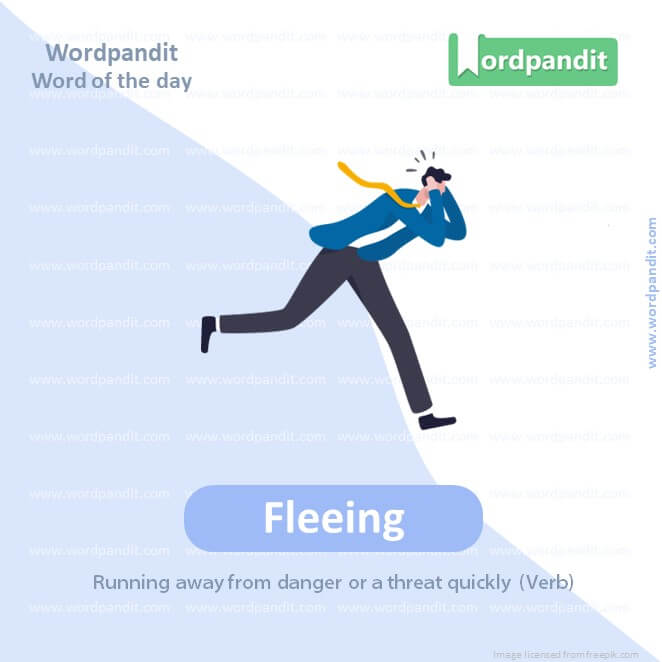 Fleeing Picture Vocabulary