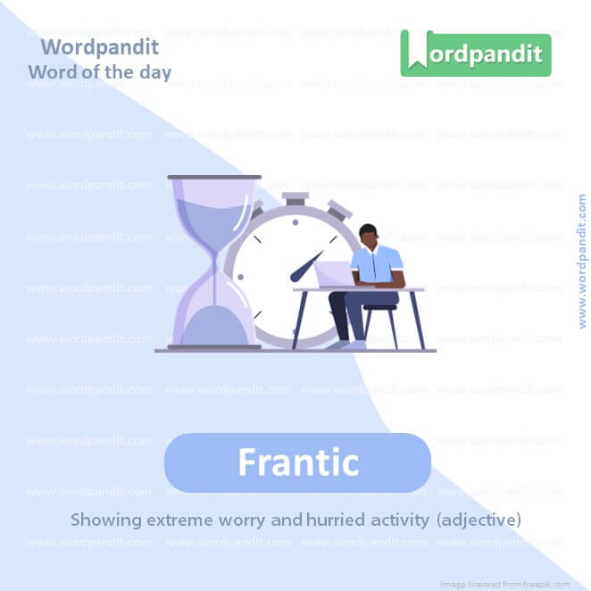 Frantic Picture Vocabulary