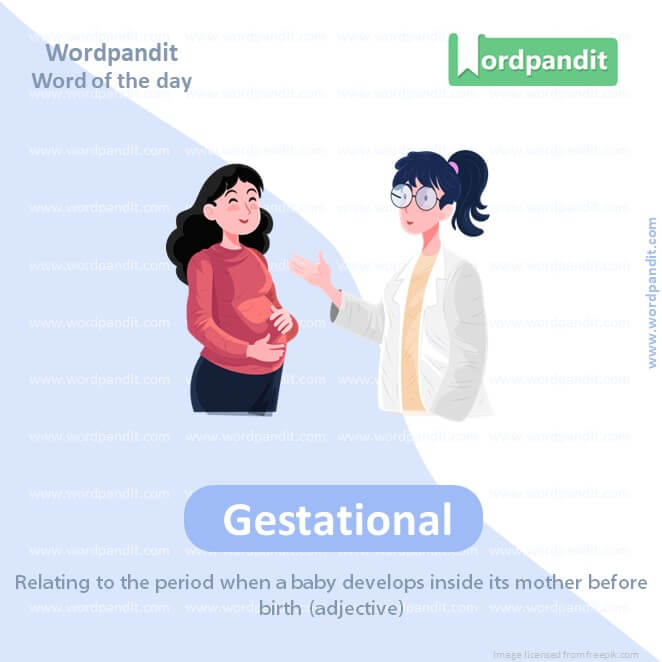 Gestational Picture Vocabulary