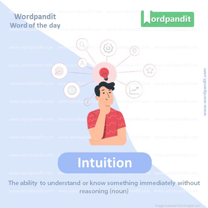 Intuition Picture Vocabulary