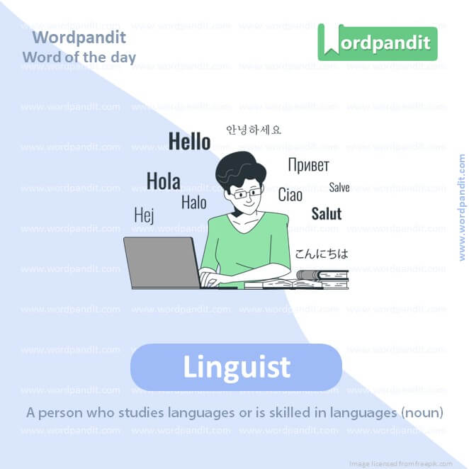 Linguist Picture Vocabulary