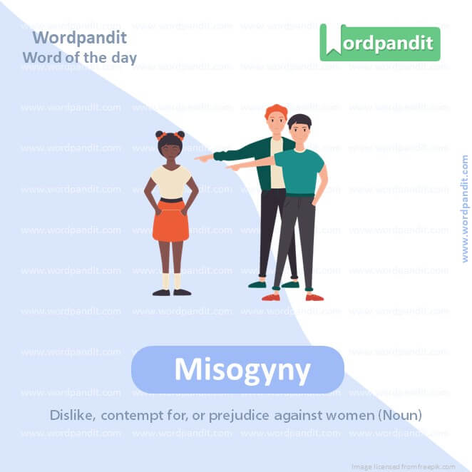 Misogyny Picture Vocabulary