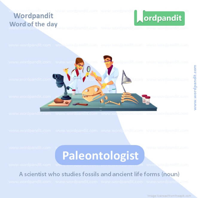 Paleontologist Picture Vocabulary