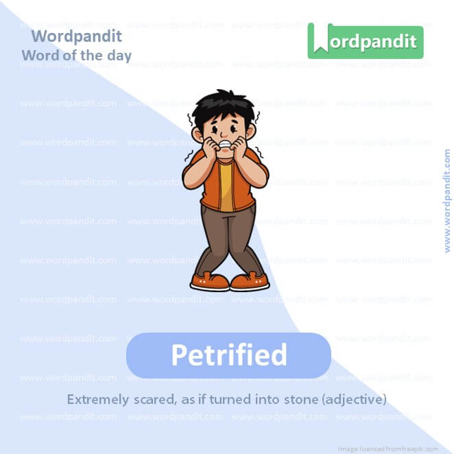 Petrified Picture Vocabulary