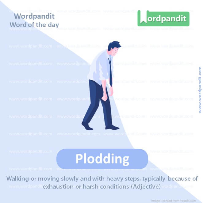 Plodding Picture Vocabulary