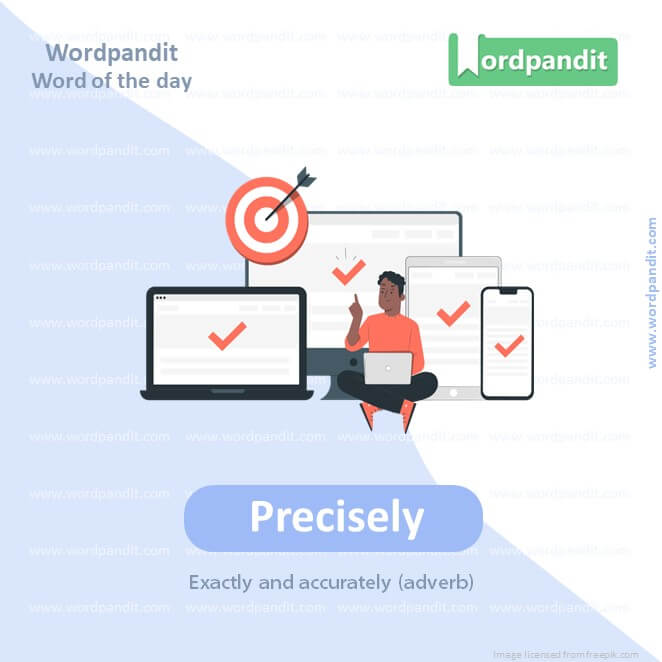Precisely Picture Vocabulary