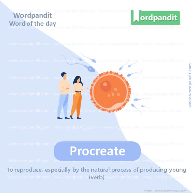 Procreate Picture Vocabulary