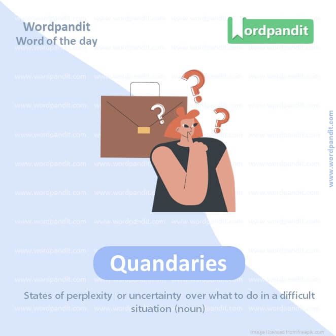 Quandaries Picture Vocabulary