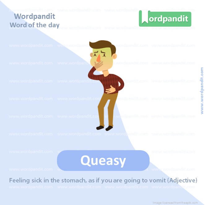 Queasy Picture Vocabulary