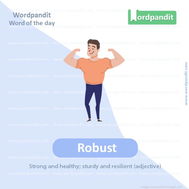 Robust Picture Vocabulary