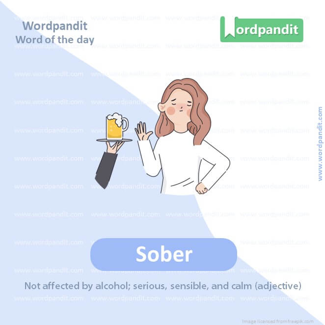 Sober Picture Vocabulary