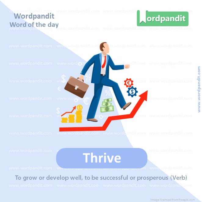 Thrive Picture Vocabulary