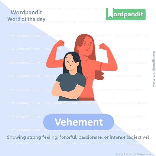 Vehement Picture Vocabulary