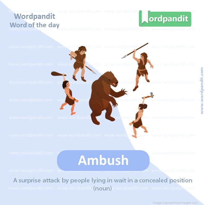 Ambush Picture Vocabulary