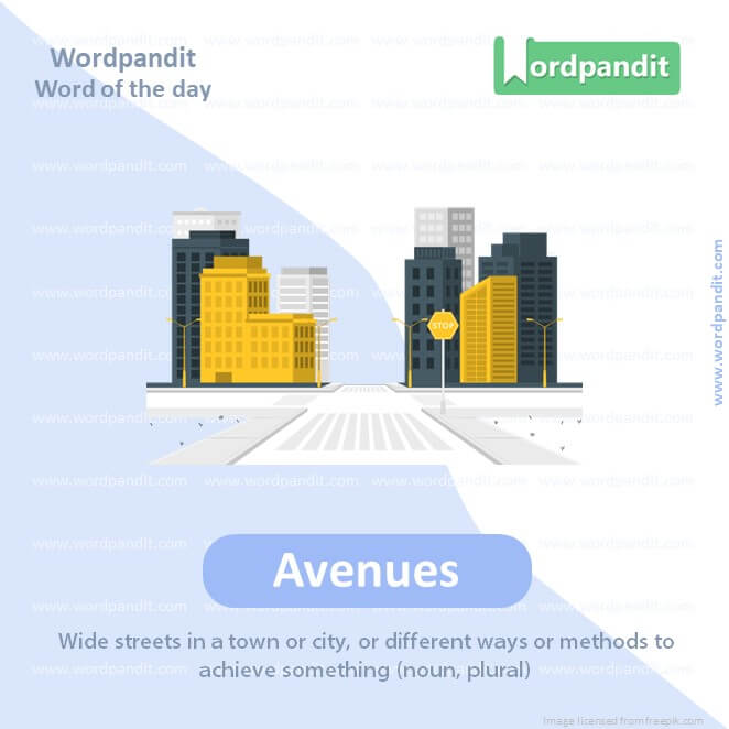 Avenues Picture Vocabulary