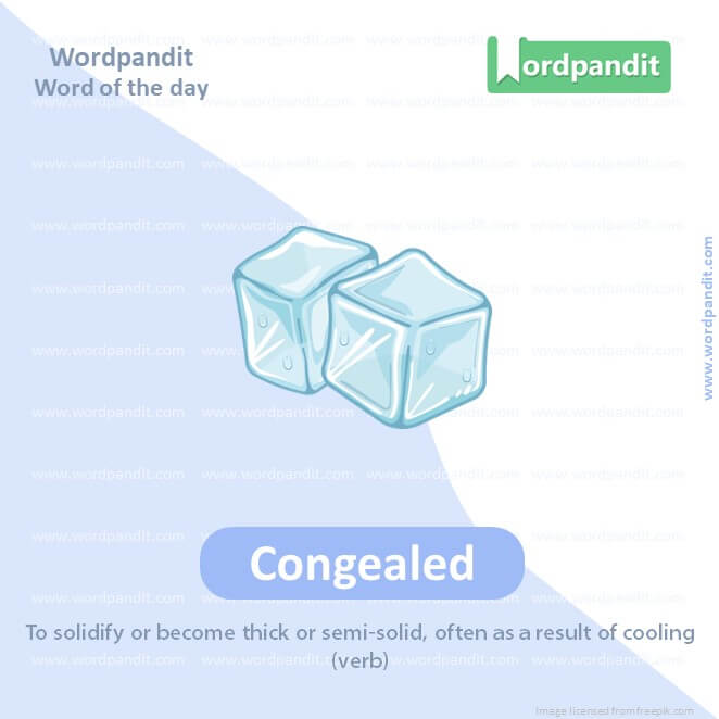 Congealed Picture Vocabulary