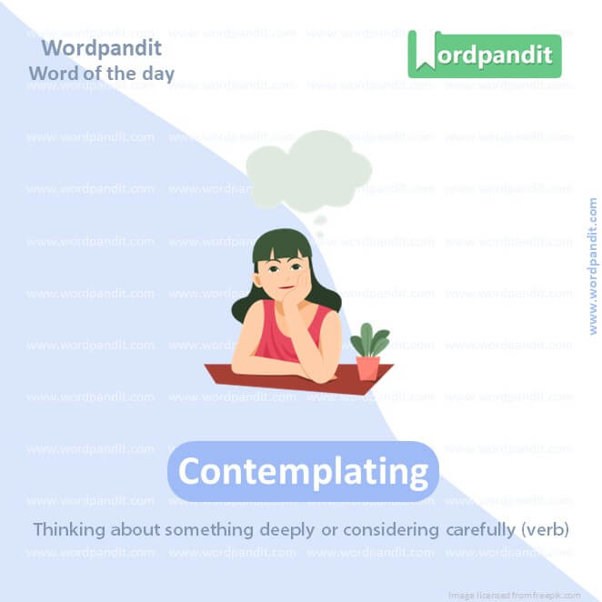 Contemplating Picture Vocabulary