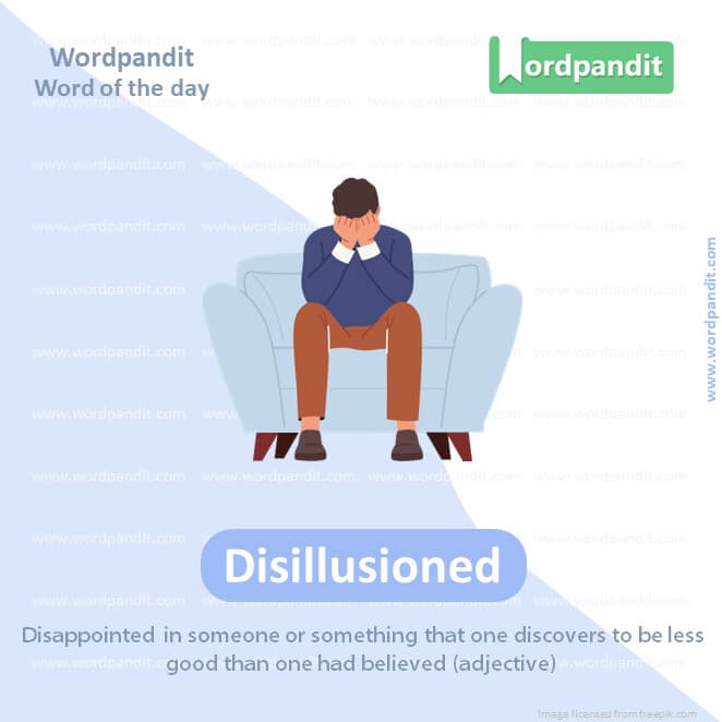 Disillusioned Picture Vocabulary