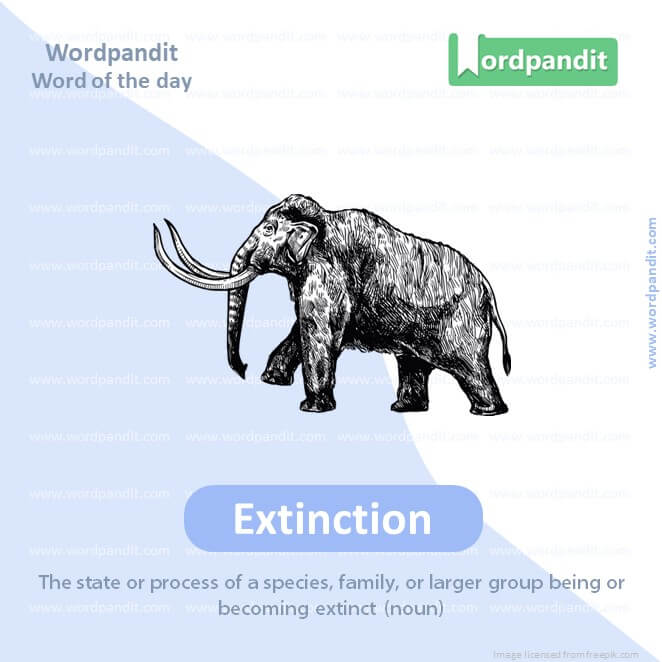 Extinction Picture Vocabulary