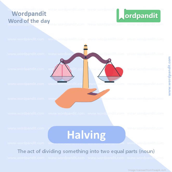 Halving Picture Vocabulary