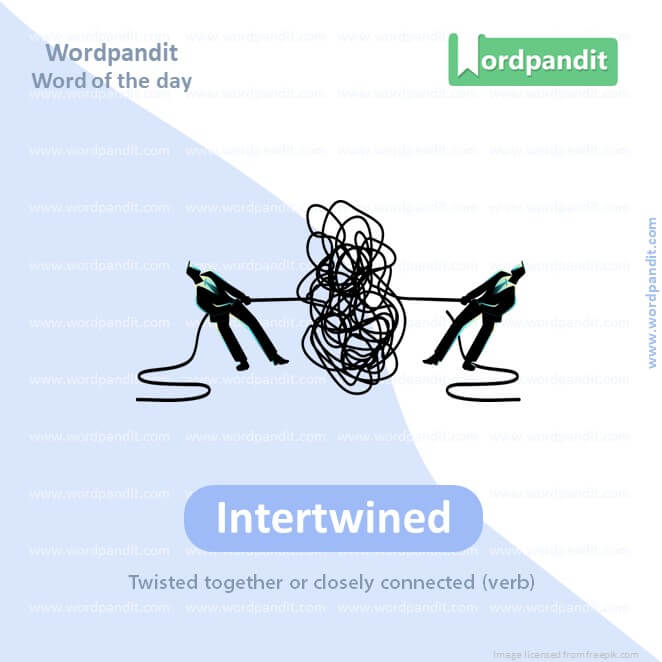 Intertwined Picture Vocabulary