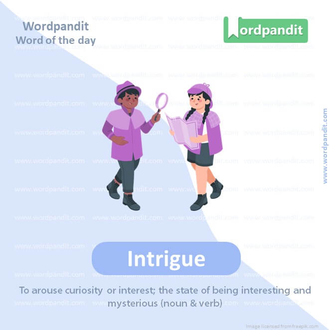 Intrigue Picture Vocabulary
