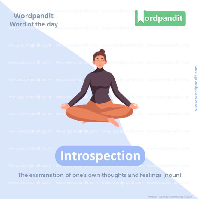 Introspection Picture Vocabulary
