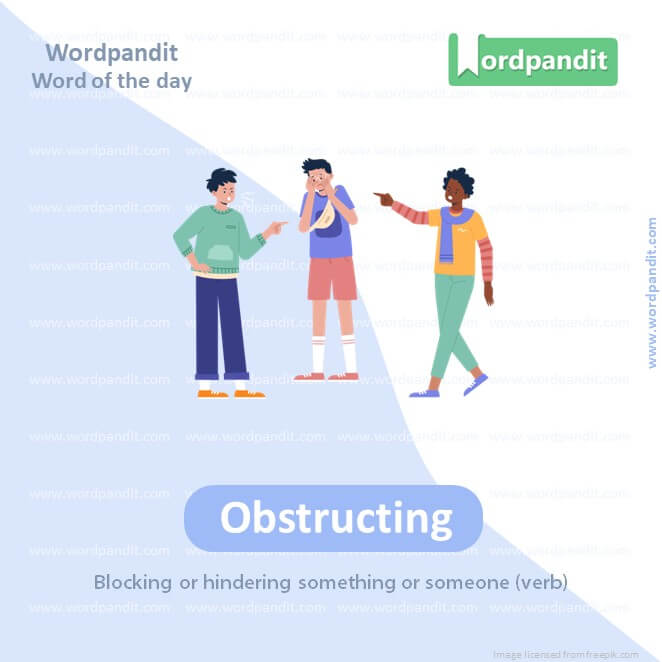 Obstructing Picture Vocabulary