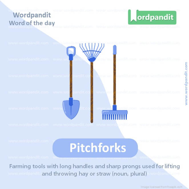 Pitchforks Picture Vocabulary