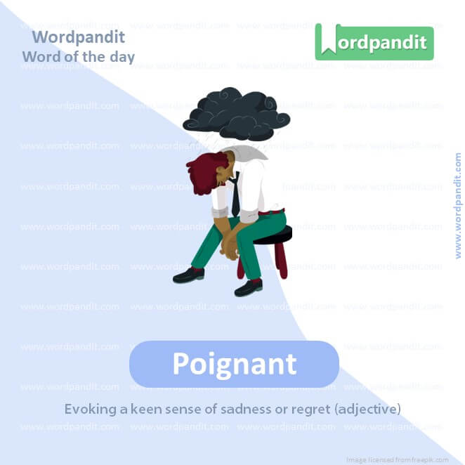 Poignant Picture Vocabulary