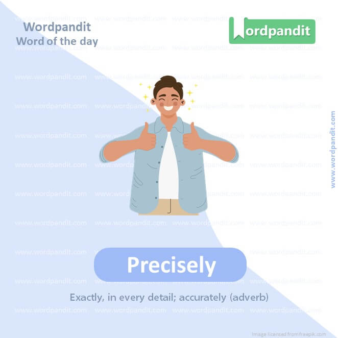 Precisely Picture Vocabulary