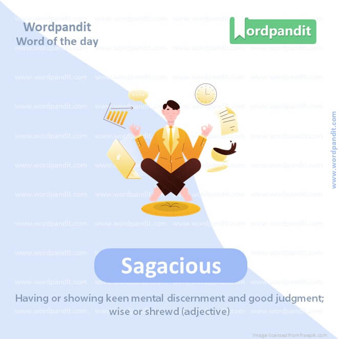 Sagacious Picture Vocabulary